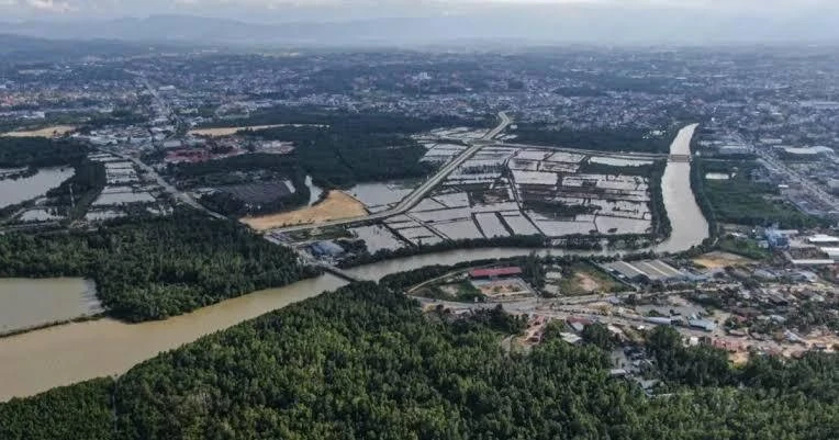 Indonesia Launches Forestry Carbon Market, Eyes New Economic Growth Driver