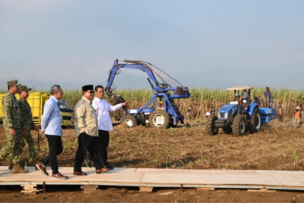 Indonesia Halts Diesel Imports in July 2026, Driven by B50 Biodiesel Success