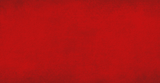 TotalEnergies CEO Addresses Mozambique Allegations