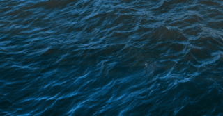 Russian Black Sea Port Hit by Drone Attack