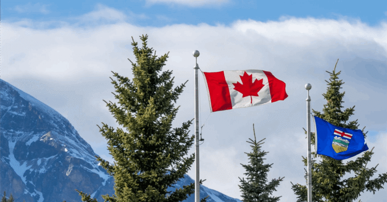 Imperial Projects' significant 2026 capital expenditure fuels ambitious future growth.