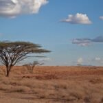 Kenya Grants Tax Relief for South Lokichar Oil Project