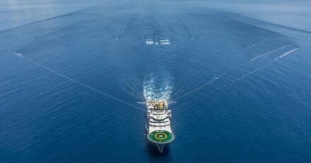 Caribbean Offshore Energy Spurs Logistics Infrastructure Demand