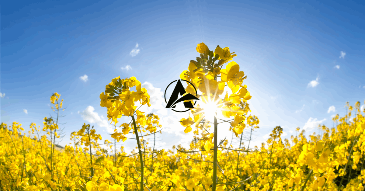 Update: BP, Corteva Launch Biofuel Feedstock JV