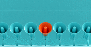 Enverus Forecasts Diverse Energy Market Conditions in 2026