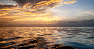 Update: Harbour Assumes Operatorship of Zama Project offshore Mexico