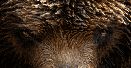 NYMEX Natural Gas Faces Growing Downside Risk