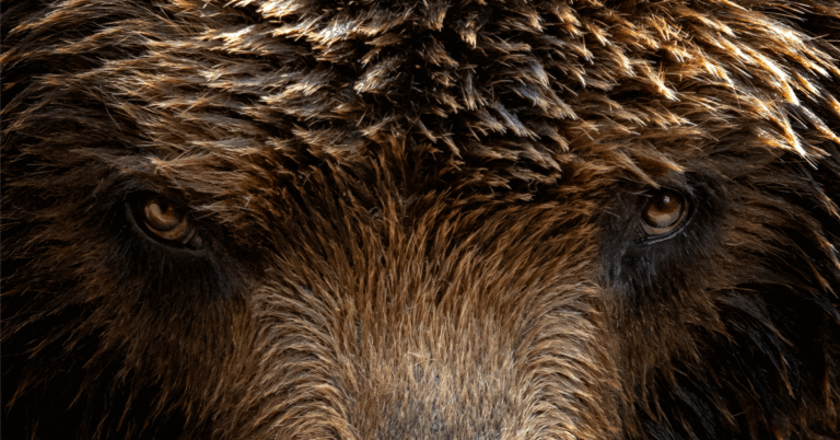 NYMEX natural gas futures: Downside risks loom large.