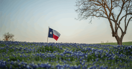 Update: Trump Eyes Post-State of the Union Texas Trip