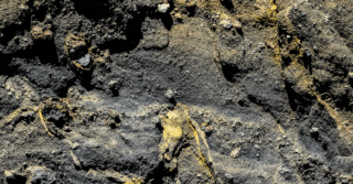 Update: Trump to Launch $12B Critical Mineral Stockpile