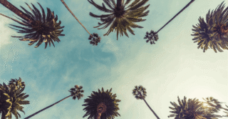 Update: Chevron Warns California Risks Energy Crisis Due to Iran War