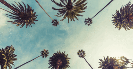 Update: Chevron Warns California Risks Energy Crisis Due to Iran War