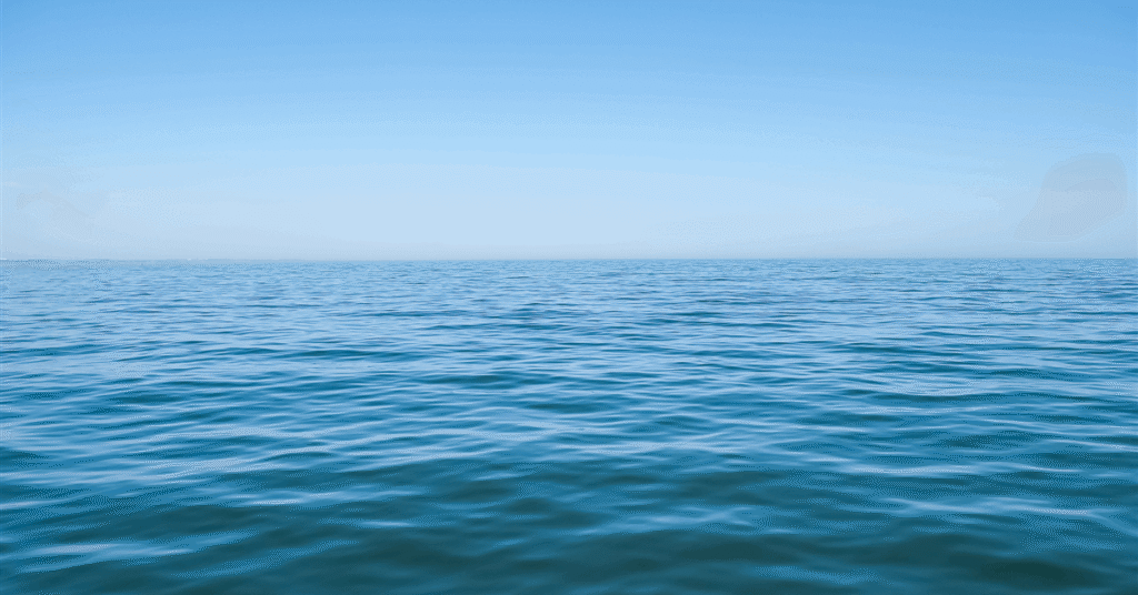 Substantial bids mark the successful conclusion of the latest federal lease sale.