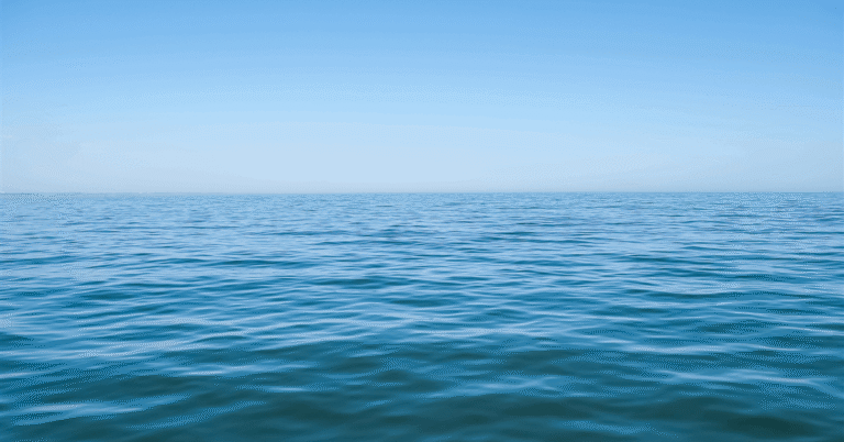 Substantial bids mark the successful conclusion of the latest federal lease sale.