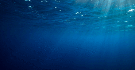 Update: Equinor, Wellesley Tie Up for Norwegian Exploration