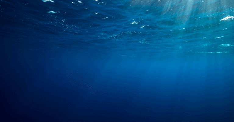 Equinor and Wellesley tie up for future exploration opportunities in Norway.