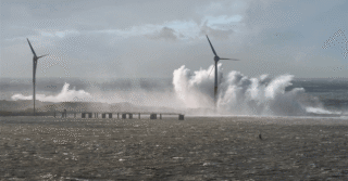 TotalEnergies Redirects US Energy Strategy to Gas