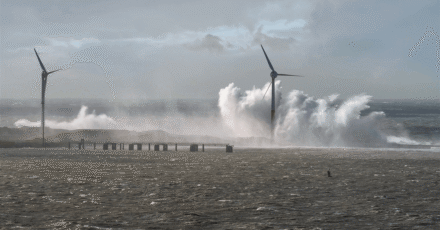 TotalEnergies Redirects US Energy Strategy to Gas